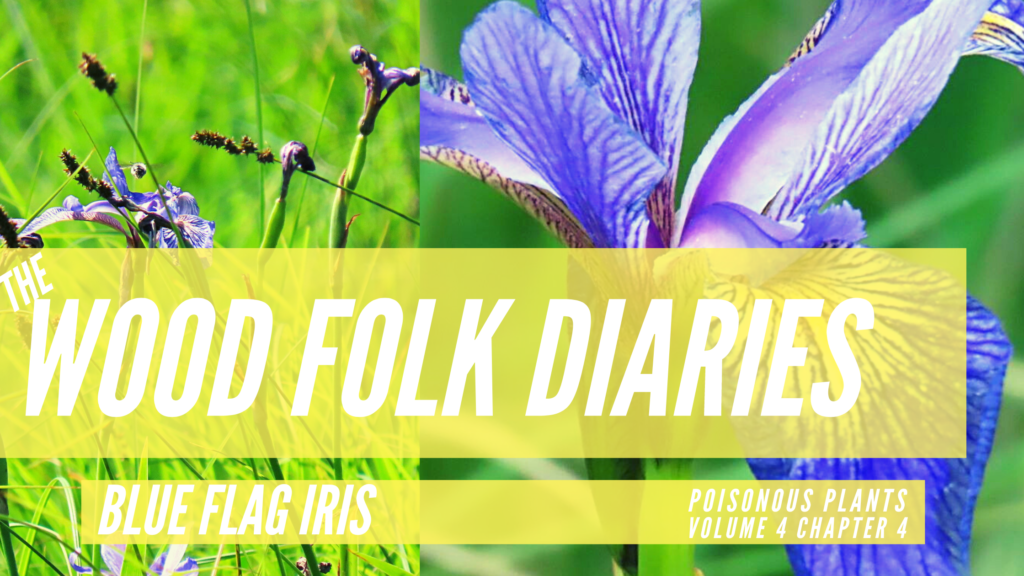 the-wood-folk-diaries-volume-4-poisonous-plants-chapter-4-blue